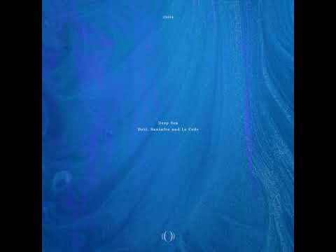 Dott  Santafeo and Le Code - Architeuthis