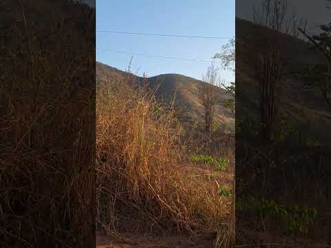 voo de parapente em Mantenopolis #voolivre #parapente #Mantenopolis
