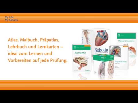 Sobotta Produktfamilie: vom (Präp-)Atlas oder Lehrbuch hin zu den Lernkarten