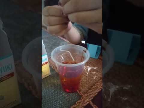 SHIROYUKI! YAS OR NAH ?  😁