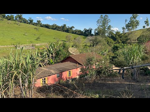 Chácara de 6.000 m2 à venda em Silvianópolis MG