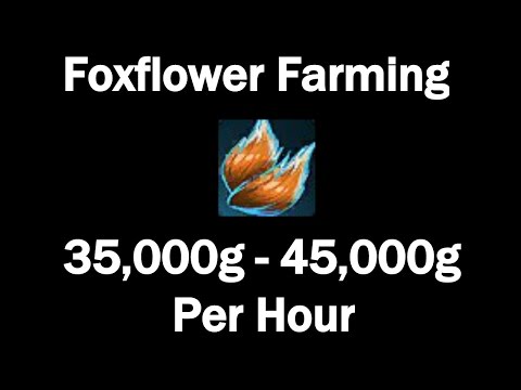 Foxflower Farming! 400+ Foxflower Per Hour! 35,000g - 45,000g Per Hour!