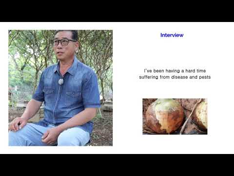 Jipyeong Comprehensive Intro & Farmer Interview / 지평 비료의 기술과 농가 성공사례를 종합적으로 소개하는 영상입니다. — YouTube 영상 썸네일