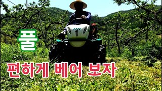 힘든 예초기 작업 이렇게 하면 편하고 신속해요. 승용예초기 임대방법 사용방법 초생재배 장점