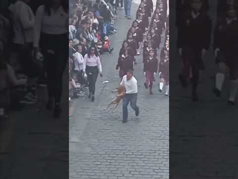 Staring at it #shorts