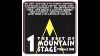 Richard Thompson - Shoot Out the Lights (live)