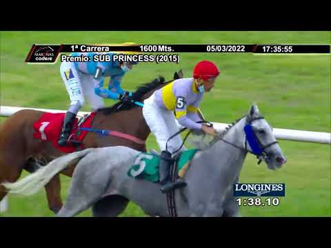 220305 c01 OLIMPIA ROCKET