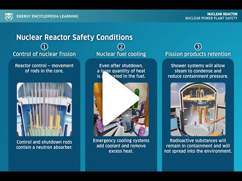 Nuclear Power Plant Safety
