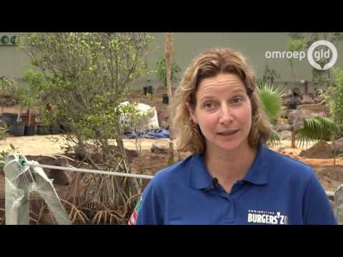 GLD Nieuws 28 juni 2017