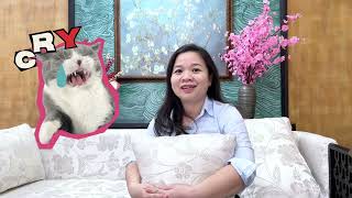 Bật Mí: Hậu Trường Vui Nhộn Của Đội Ngũ Nhà S