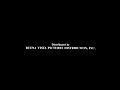 Buena Vista Pictures Distribution Inc Walt Disney Pictures 1994