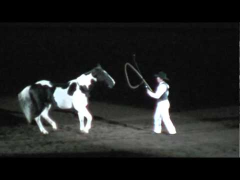 Night of the Horse 2011 - Tommie Turvey w/ Joker's Wild & Ace in the Hole