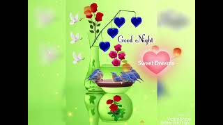 Good Night Sweet Dreams gif WhatsApp Status | Cute 🥰 Good Night Wishes | Good Night | #goodnight 👍