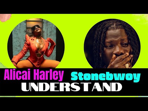 Stonebwoy - Understand ft. Alicai Harley (official video) Reaction!!