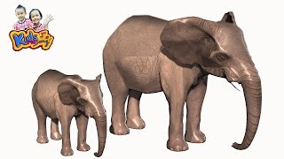 เพลงช้าง ช้าง ช้าง เพลงเด็ก | The Elephant Song for Kids  3D Animated HD
