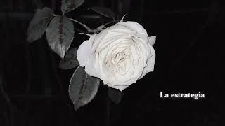 Johnny Sky - La Estrategia (slowed + reverb)