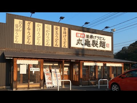 Marugame Seimen - Udon + Tempura
