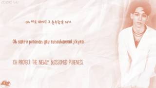 EXO (Korean) - Can&#39;t Bring Me Down Lyrics // Color Coded/Han/Rom/Eng