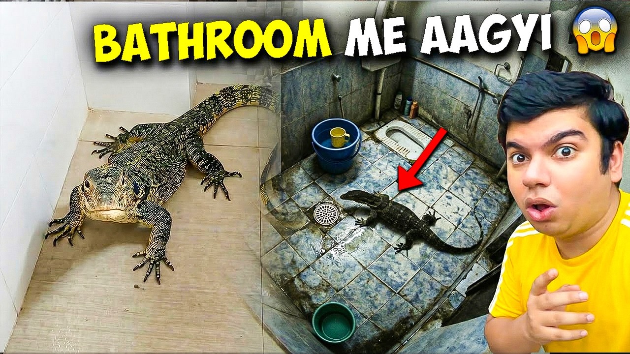Big Chipkali Bathroom Me Ghuss Gayi 😱 | बाथरूम में खतरनाक छिपकली 🚨 परिवार डर गया 😨 | SW Pet