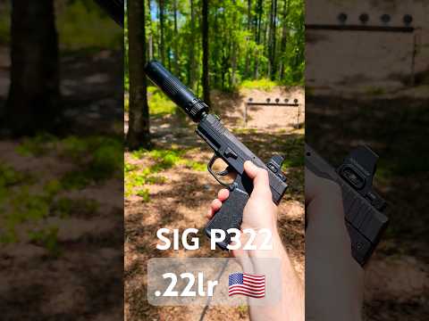 Overview of the SIG Sauer 322 Features