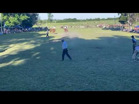 Rueda en Pelo, Colonia Cosmopolita, 19 de octubre 2025. Escuela n21.