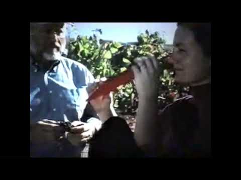 20010920 0926 DLR33 Wine Country