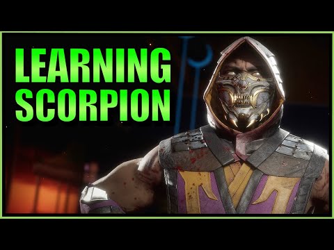 SonicFox - Learning Scorpion 【Mortal Kombat 11】