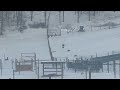 Deer Slides Down Snow Covered West Virginia Hill