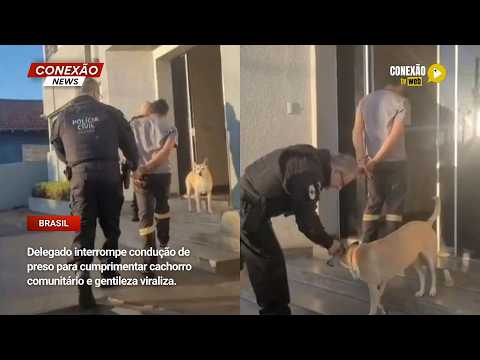 Vídeo: Delegado interrompe condução de preso para cumprimentar cachorro comunitário e gentileza viraliza.