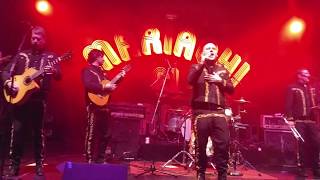 Mariachi El Bronx - San Diego, 11/4/17 - Revolution Girls