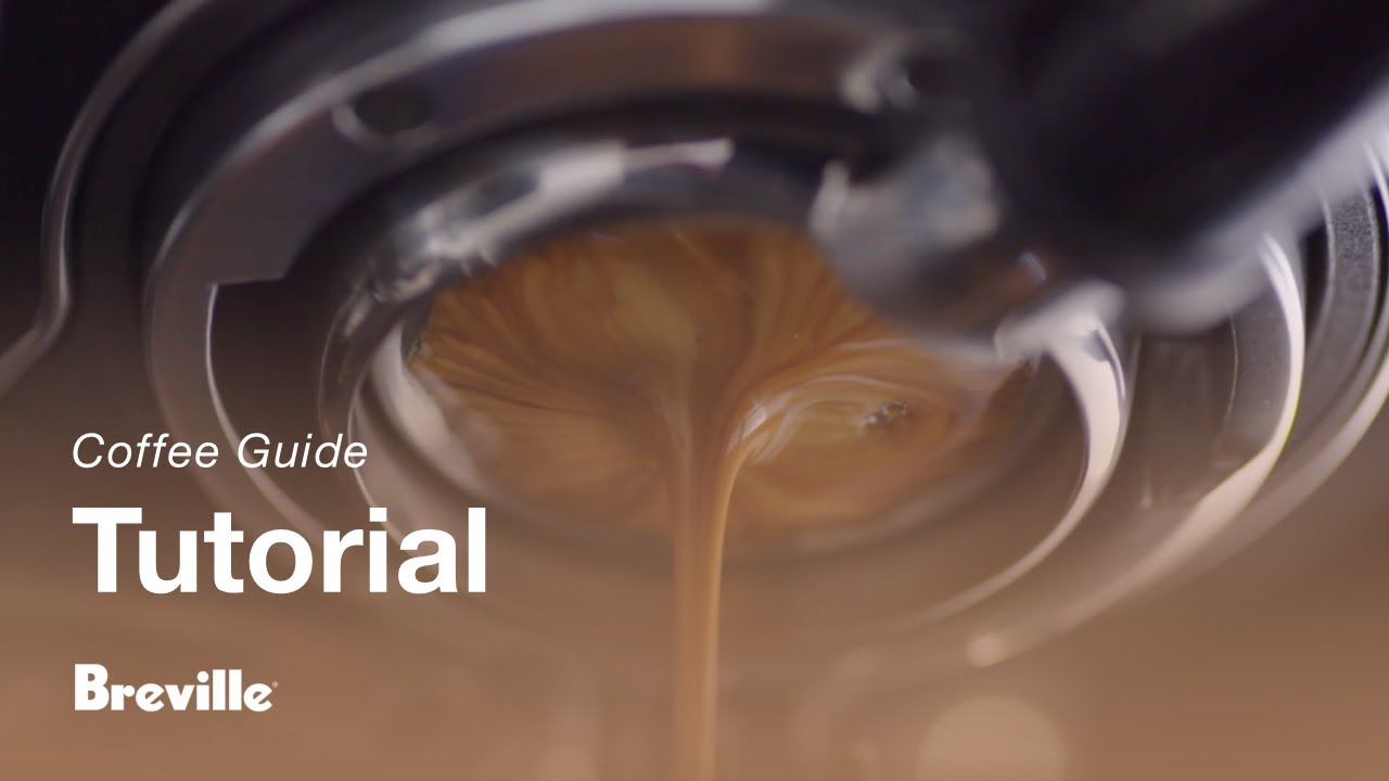 Getting your first extraction right