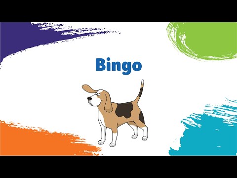 Bingo