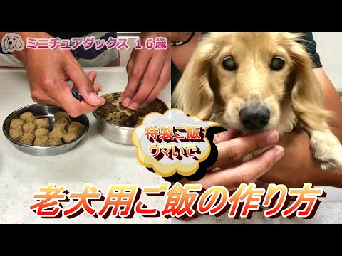 歯のない犬用の食事