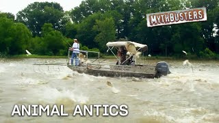 Thumbnail del capítulo