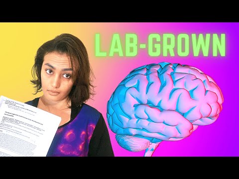 Growing mini-brains in the lab?? The science of cerebral organoids!