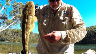 Download Lagu COFFS HARBOUR WINTER FLATHEAD FISHING!! Thumbnail