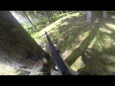 Retroritari Slnsoft osa 19 | Uuden alueen ilot