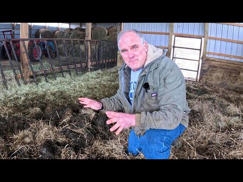 Deep Bedding for Cattle: Our Experience