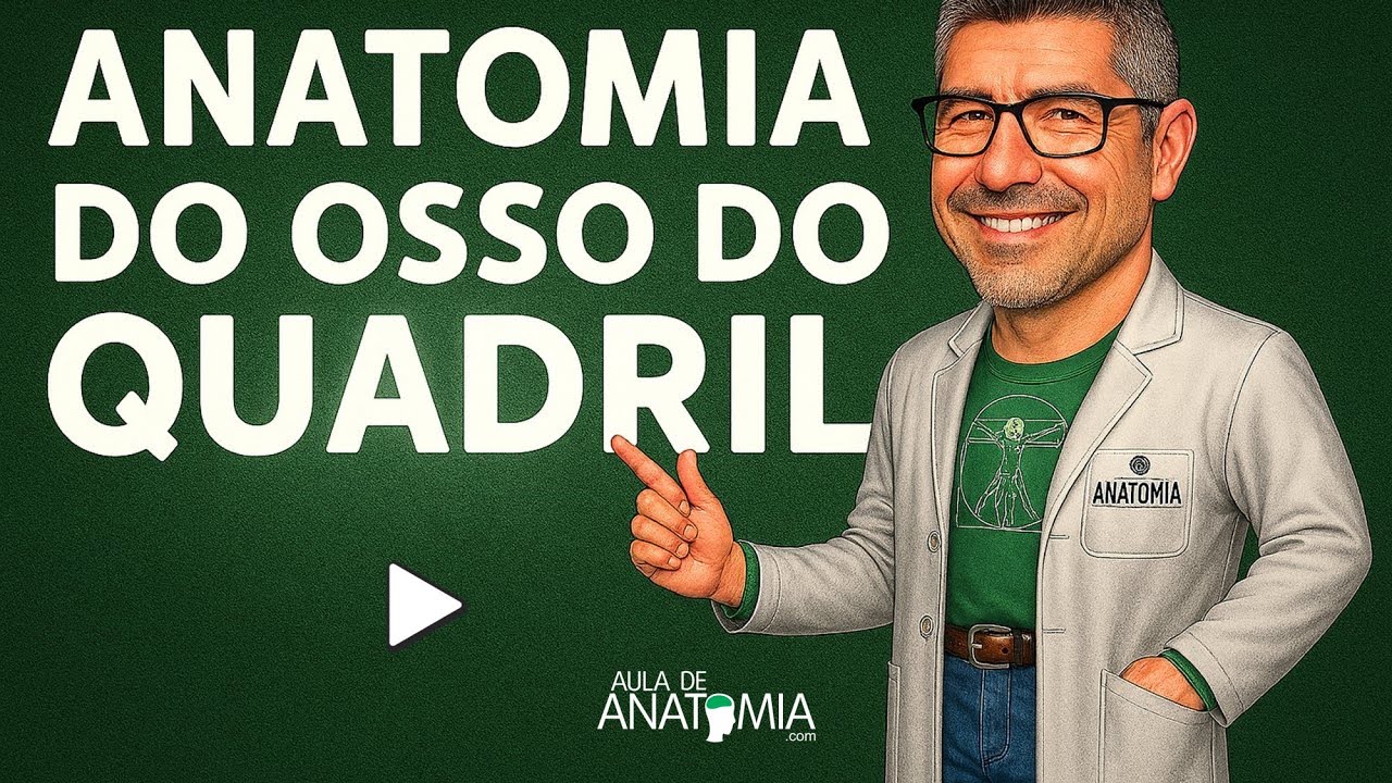 OSSO DO QUADRIL  #anatomia #fisioterapia #medicina #medico #trauma #traumatologia #ortopedia #anato