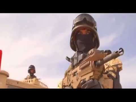 Egypt goes on full-scale offensive in Sinai against terrorism