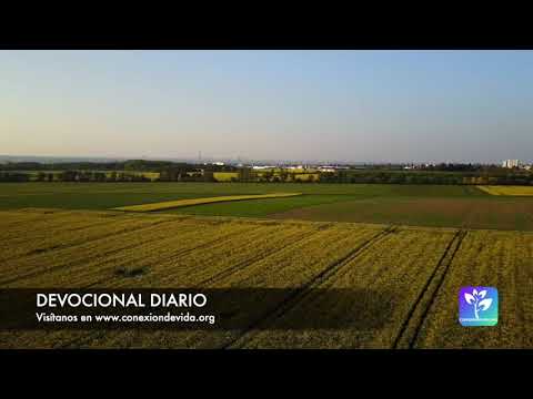 Devocional diario - 2021-03-12 - La remuneración de la humildad