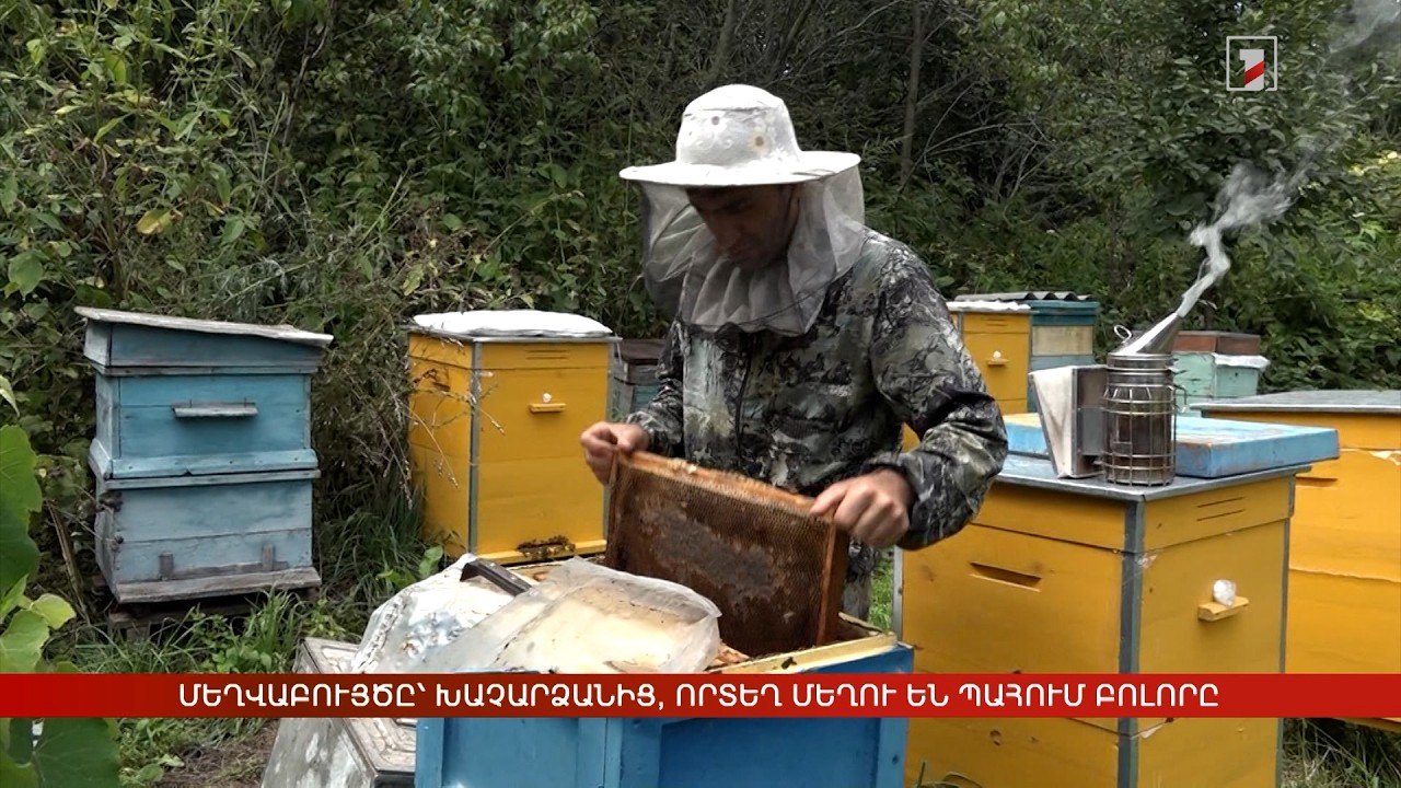 Մեղվաբույծը՝ Խաչարձանից, որտեղ մեղու են պահում բոլորը