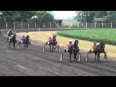 Trka "Scom d.o.o.-Feketić" 13.07.2019 Hungaria Oaks - Boris Kečenović
