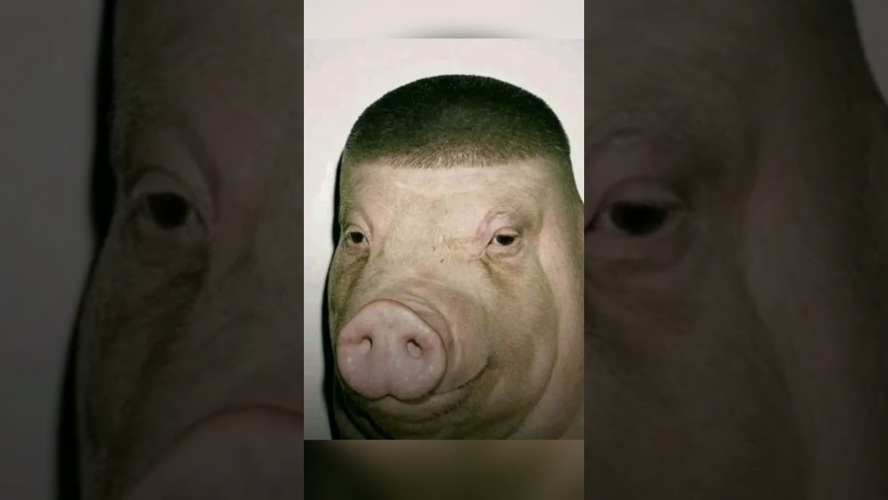 Maturity Test: How Cooked Are You? 😭🔥