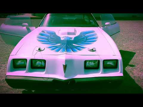 Vinny Bogard- FUSION (Official Music Video)