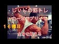 《じぃじの筋トレ》Mr.愛知まで5日と成りました。最終調整カーボデプリート中の全身トレで、筋グリコウゲンを枯渇する・