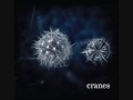 Cranes - Light Song