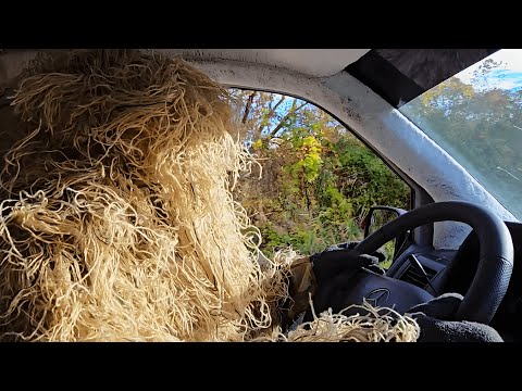 ALJAS KÚSZÓBAB - TRAKTOR FESTI A SZIVÁRVÁNYT