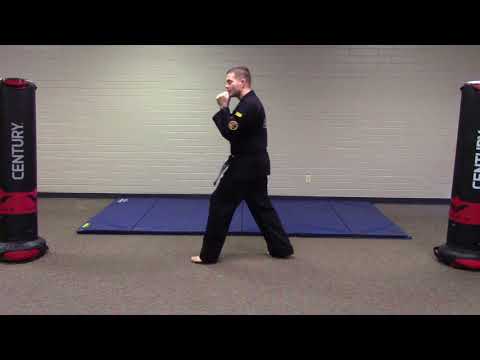 Multiple Jabs & Punches with Footwork (Purple Stripe)