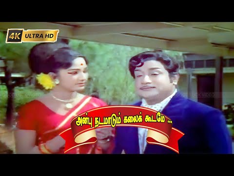 அன்பு நடமாடும் கலைக் கூடமே பாடல் | Anbu Nadamadum song | Tms, P. Susheela Love song .